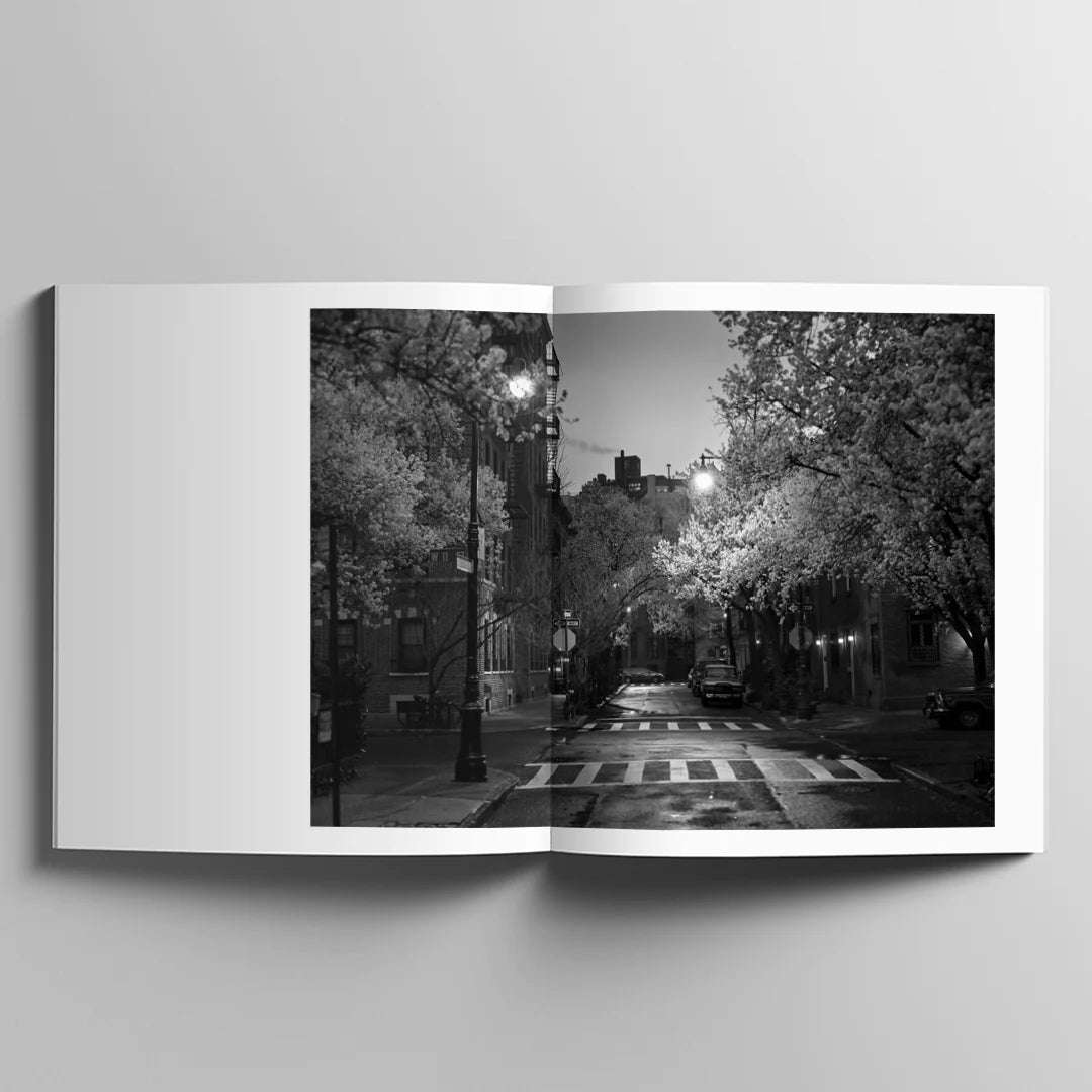 The City That Finally Sleeps : Book by Mark Seliger