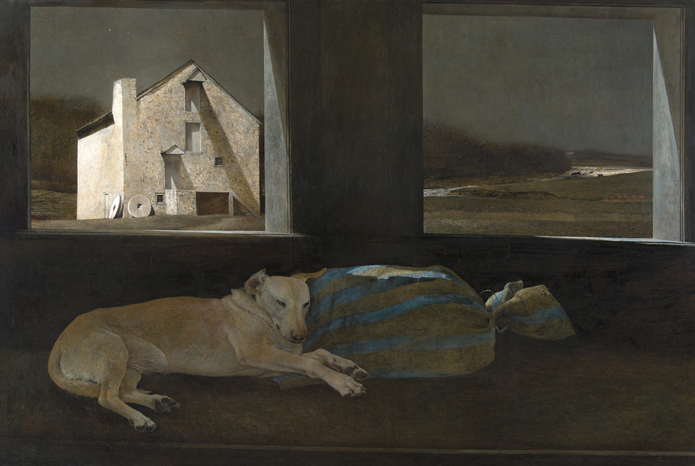 Night Sleeper, Andrew Wyeth
