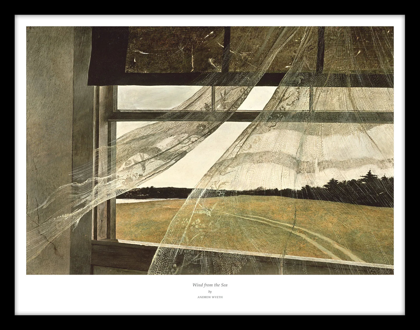 
                  
                    Wind from the Sea : Andrew Wyeth
                  
                
