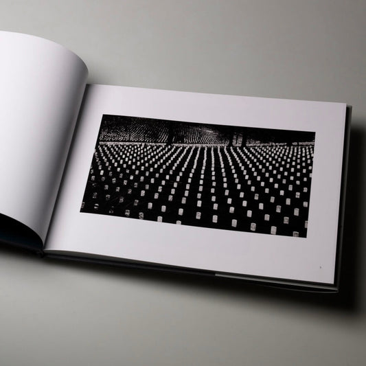 Remember : Book by Roger Raepple